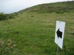 IMG_3479.JPG