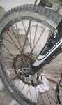 IMAG0260-1.jpg
