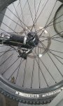IMAG0257-1.jpg