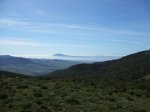 DSCF2645_01.JPG