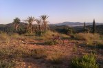 IMAG0019.jpg