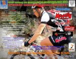 cartel mostoles 12.jpg