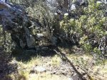 IMG_1624.jpg