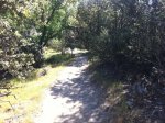 IMG_1625.jpg