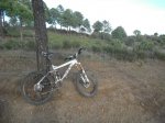 Bici_Campo.jpg