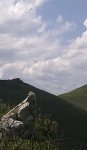IMAG0892-1.jpg