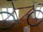 Orbea.jpg
