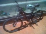 IMG00612-20120526-1238.jpg