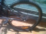 IMG00613-20120526-1238.jpg