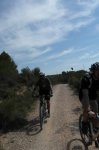 SAM_2319 (Copiar).jpg