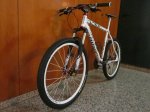 tonpetit2011249.jpg