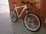tonpetit2011243.jpg