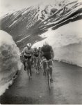 bito-adorni-stelvio_foto-ke.jpg
