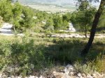P1020120.JPG