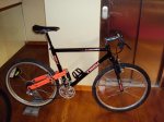 DSC01256.JPG