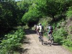 20120527_105315_1024x768.jpg