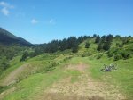 20120527_113235_1024x768.jpg
