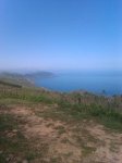 IMAG0395.jpg