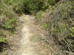 260520121045.jpg