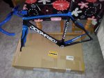 1-pinarello sky.jpg