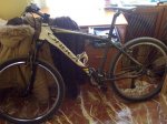 Orbea replay 2008.jpg