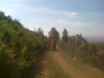 260520121565.jpg