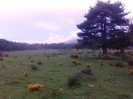 IMG_20120527_105227.jpg