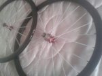 febrero 2012 070.jpg