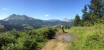 IMG_0431.jpg