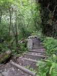 DSCN1439.JPG