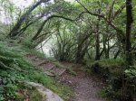 DSCN1440.JPG