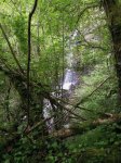 DSCN1443.JPG