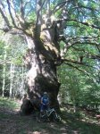 MAYO 2012 032 [800x600].jpg