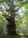 MAYO 2012 033 [800x600].jpg