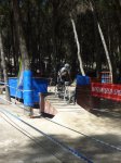 P1030874 (600x800).jpg