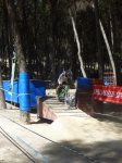 P1030879 (600x800).jpg