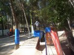 P1030923 (800x600).jpg