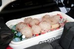 IcepacksUSPRO_RR512-071-1-632x421.jpg