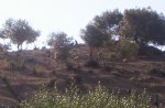 fotos de navero 008.JPG