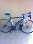 orbea2.JPG