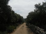 DSCF0581_redimensionar.JPG