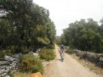 DSCF0587_redimensionar.JPG
