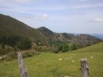 2012-05-28 14.12.09.jpg