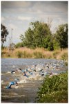foto triatlon Talavera.jpg