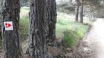 100_0546.jpg