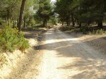 DSC02215.jpg