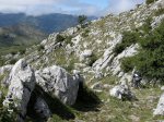 7 pista antigua.JPG