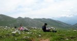 6 picnic.jpg