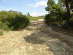 DSC02222.jpg