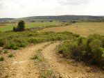 DSC02223.jpg